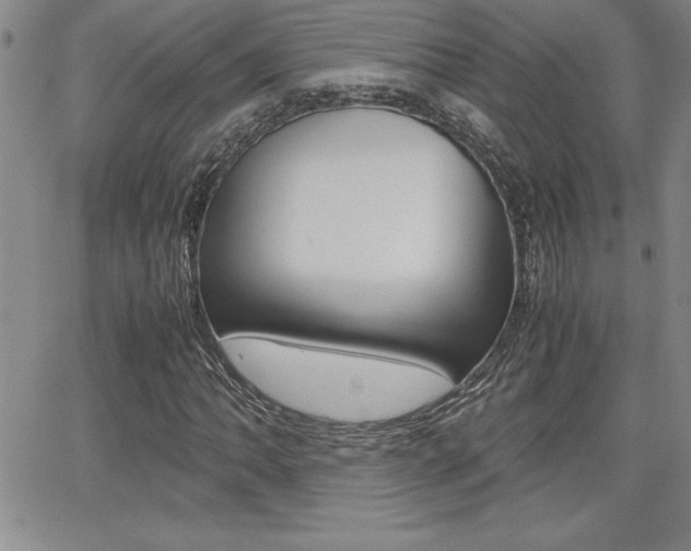 X0000062151062200512090945