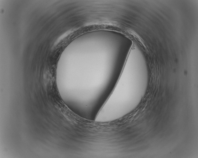 X0000062151064200512090945