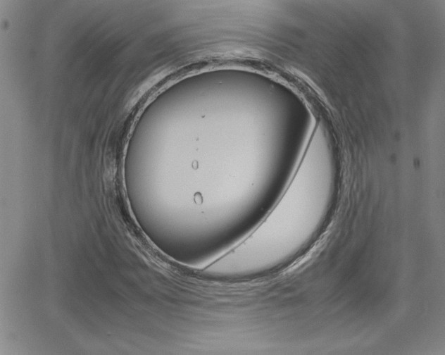 X0000062151065200512090945