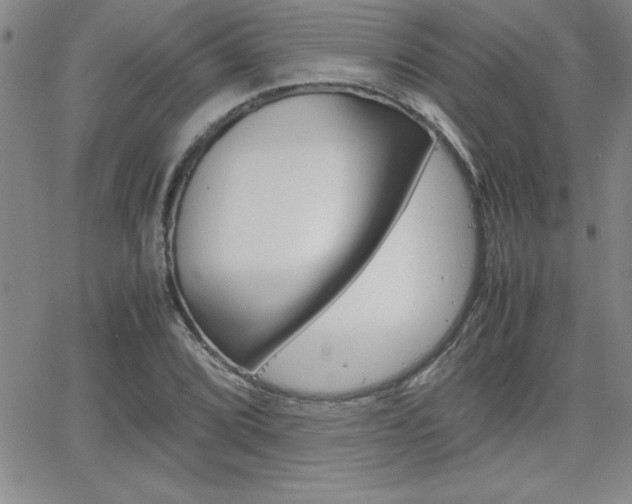 X0000062151072200512090945