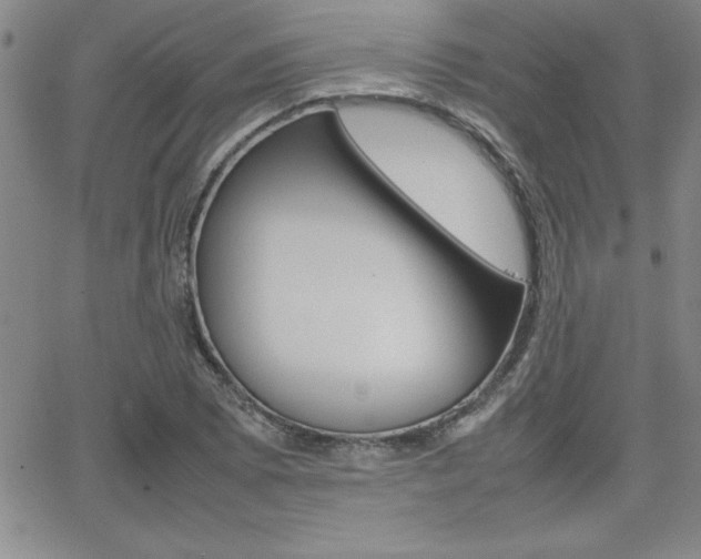 X0000062151073200512090945