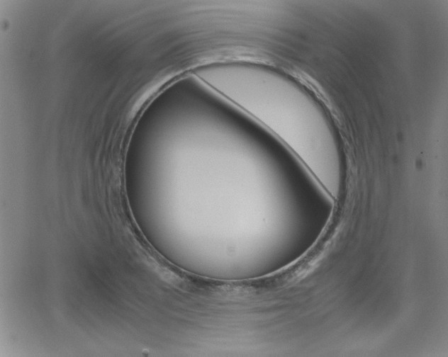 X0000062151081200512090945