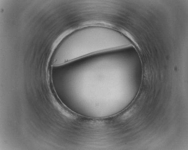 X0000062151082200512090945
