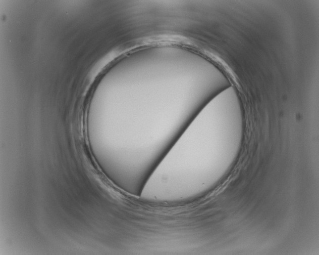 X0000062151083200512090944