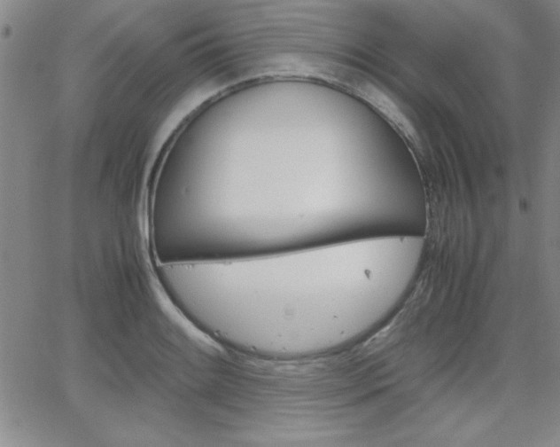 X0000062151084200512090944