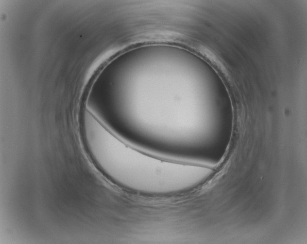 X0000062151085200512090944
