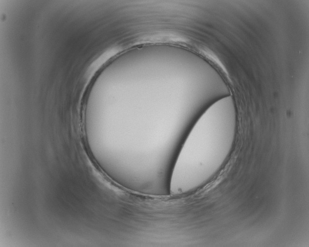 X0000062151087200512090944