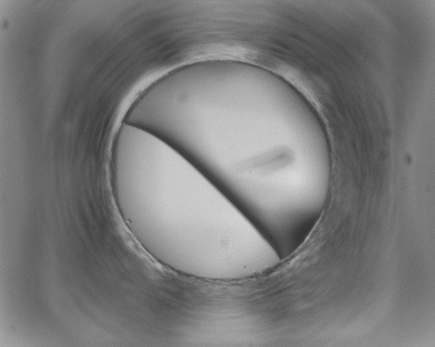X0000062151104200512090944