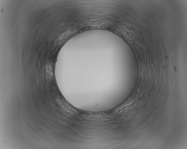 X0000062151106200512090943