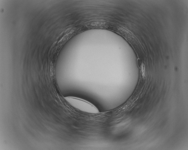 X0000062151107200512090943