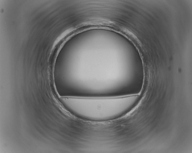 X0000062151114200512090943