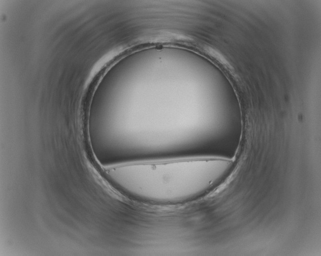 X0000062151122200512090944