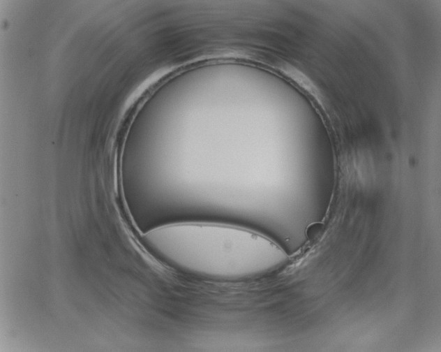 X0000062151127200512090944