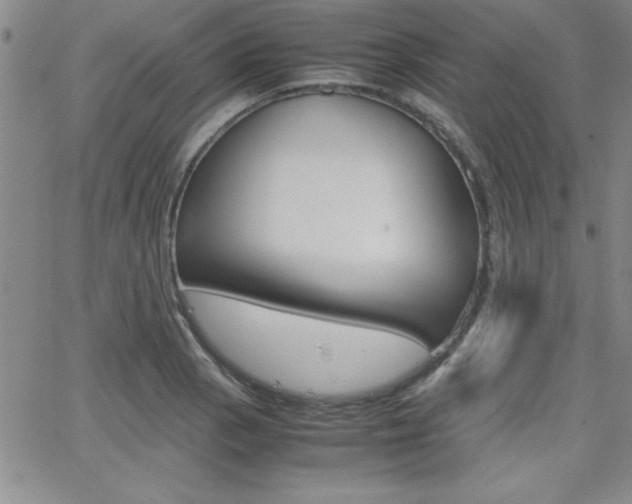 X0000062151129200512090944
