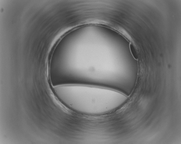 X0000062151132200512090944