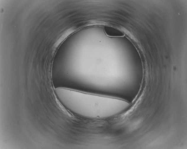 X0000062151137200512090944