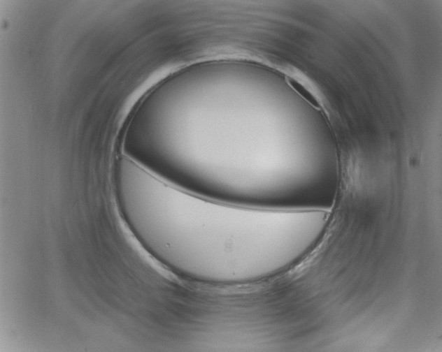 X0000062151142200512090944