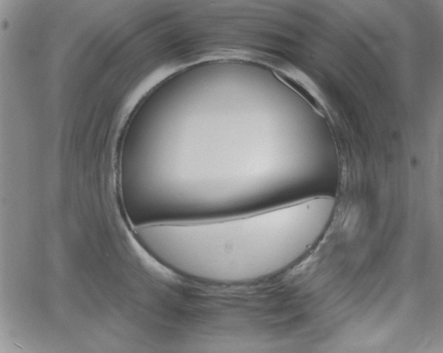 X0000062151143200512090944