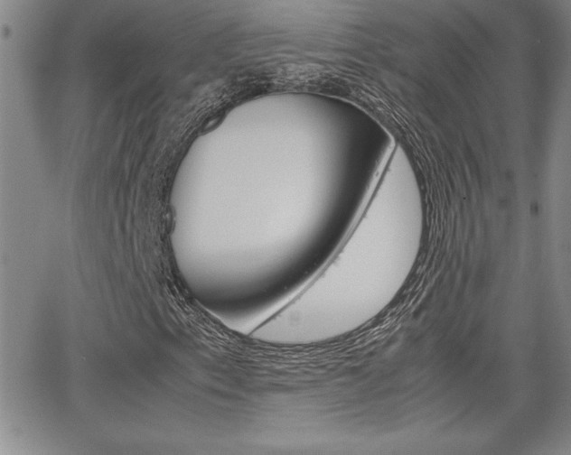 X0000062151153200512090943