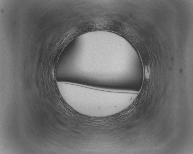 X0000062151155200512090943