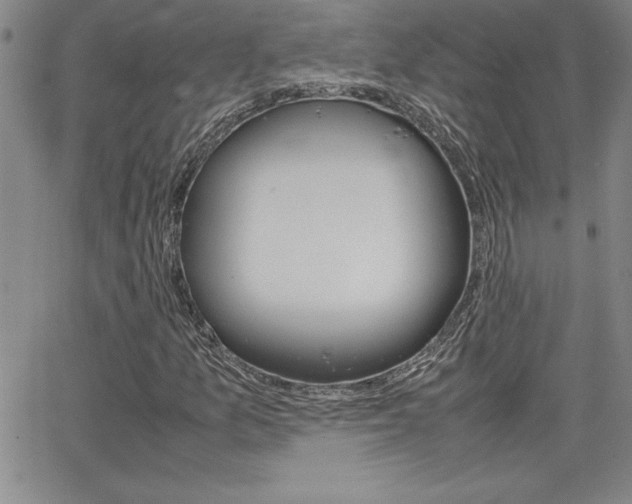 X0000062151157200512090943