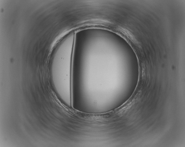 X0000062151164200512090943