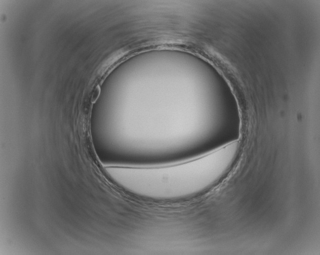 X0000062151169200512090943