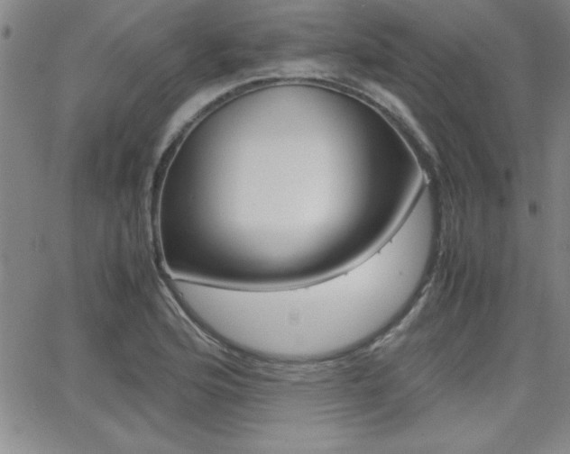 X0000062151176200512090943