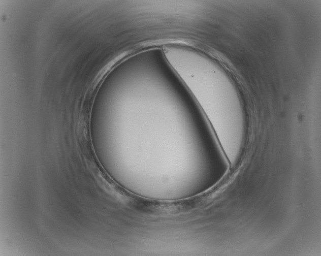 X0000062151177200512090943