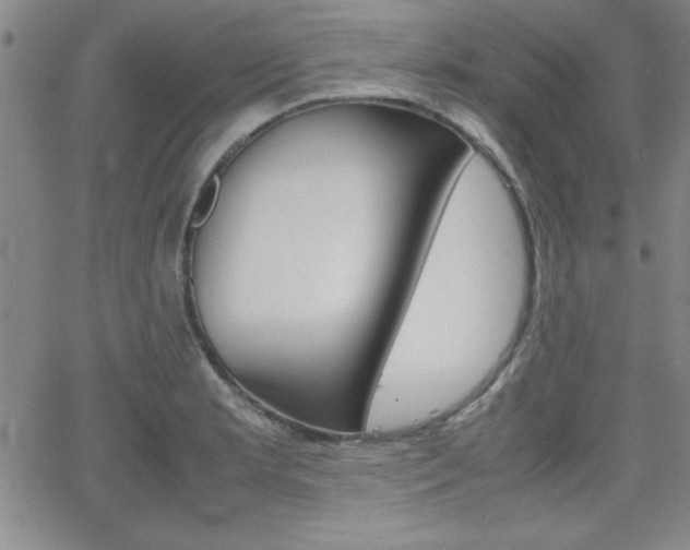 X0000062151181200512090943