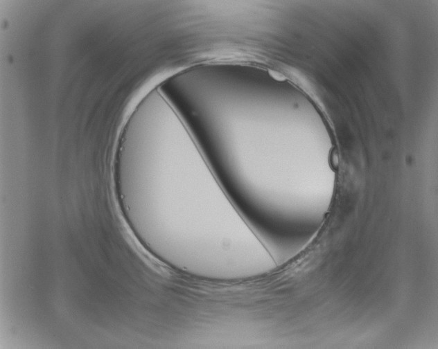 X0000062151195200512090943