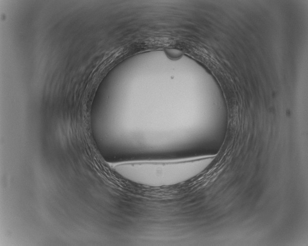 X0000062151201200512090942