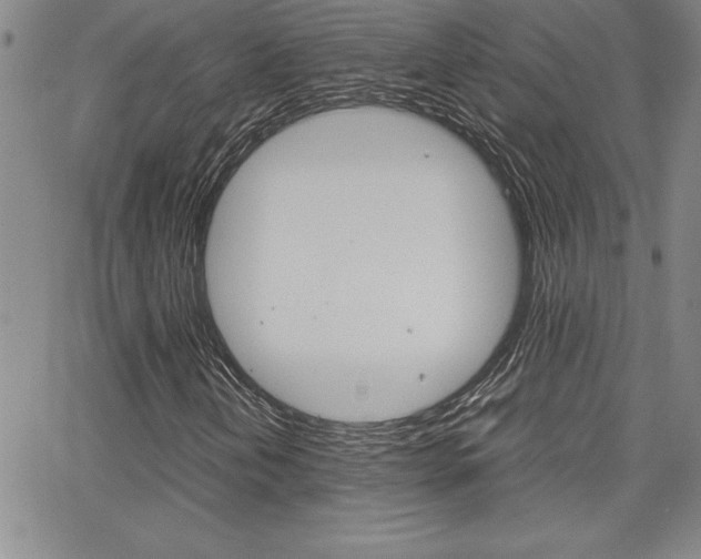 X0000062151202200512090942