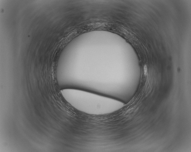 X0000062151203200512090942