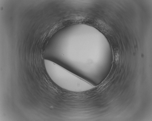 X0000062151204200512090942