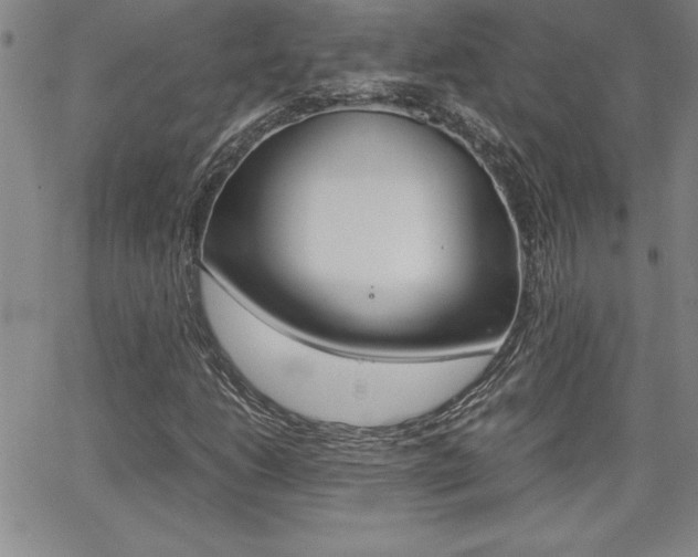 X0000062151206200512090942