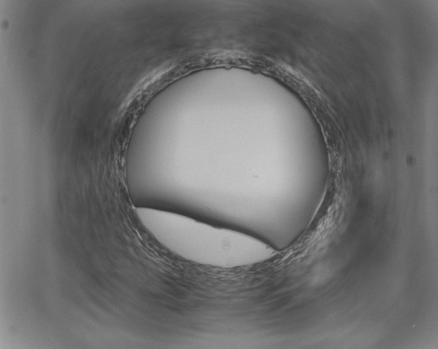 X0000062151207200512090942