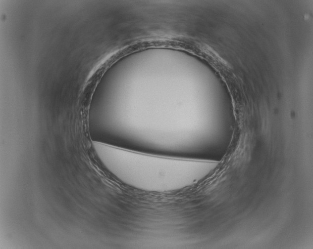 X0000062151208200512090942