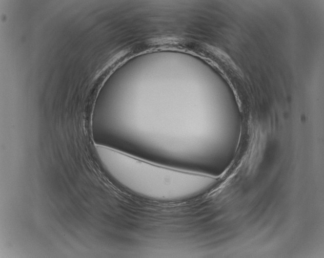 X0000062151209200512090942