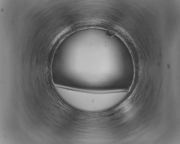X0000062151210200512090942