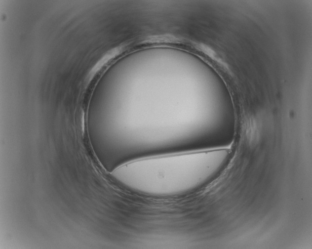 X0000062151221200512090942