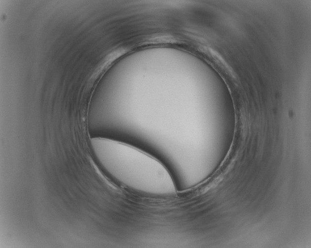 X0000062151225200512090942