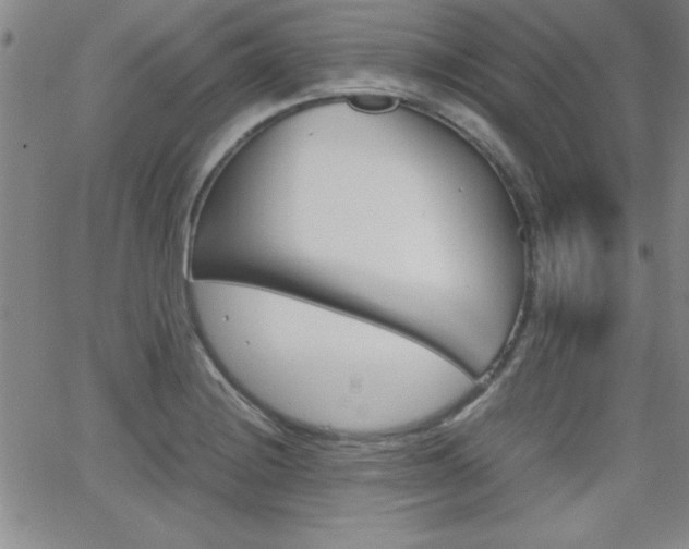 X0000062151228200512090942