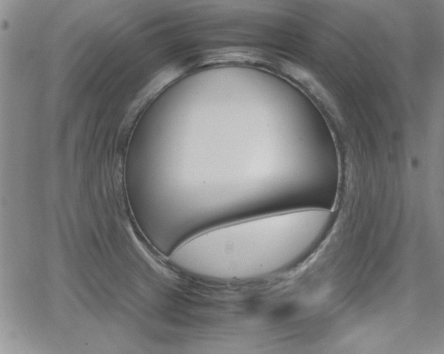 X0000062151233200512090942