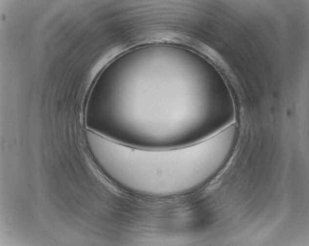 X0000062151234200512090942