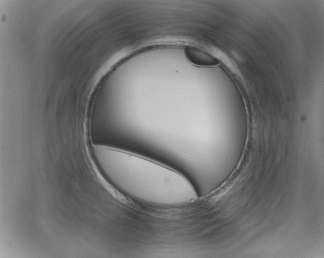 X0000062151237200512090942