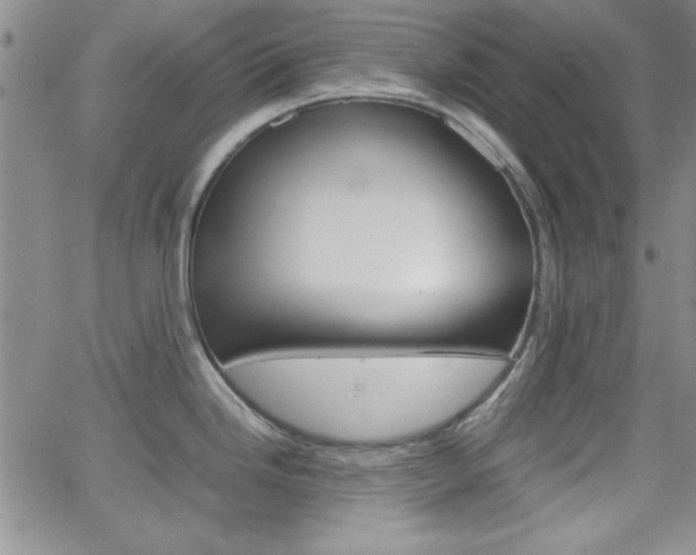 X0000062151246200512090943