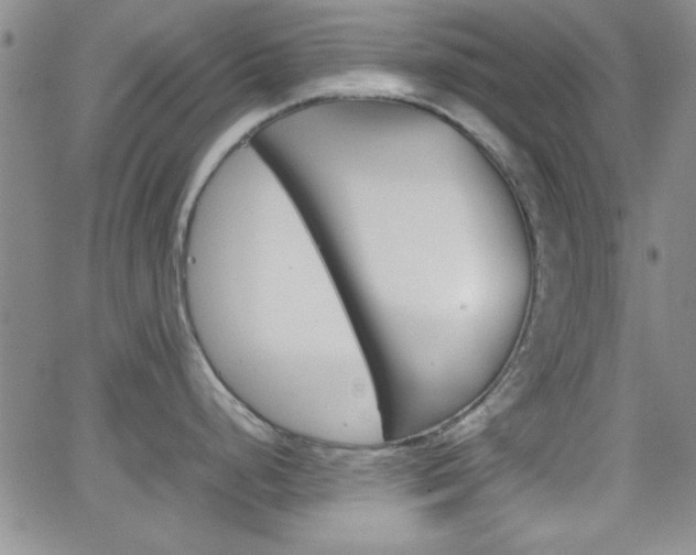 X0000062151248200512090943