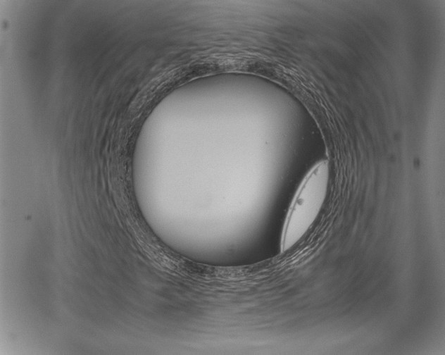 X0000062151249200512090942