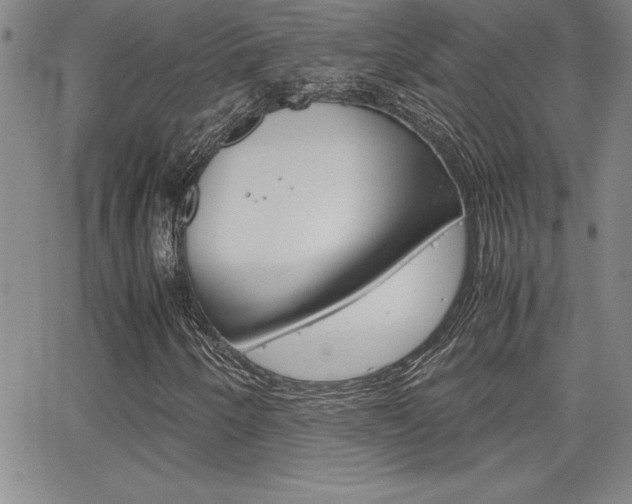 X0000062151250200512090942